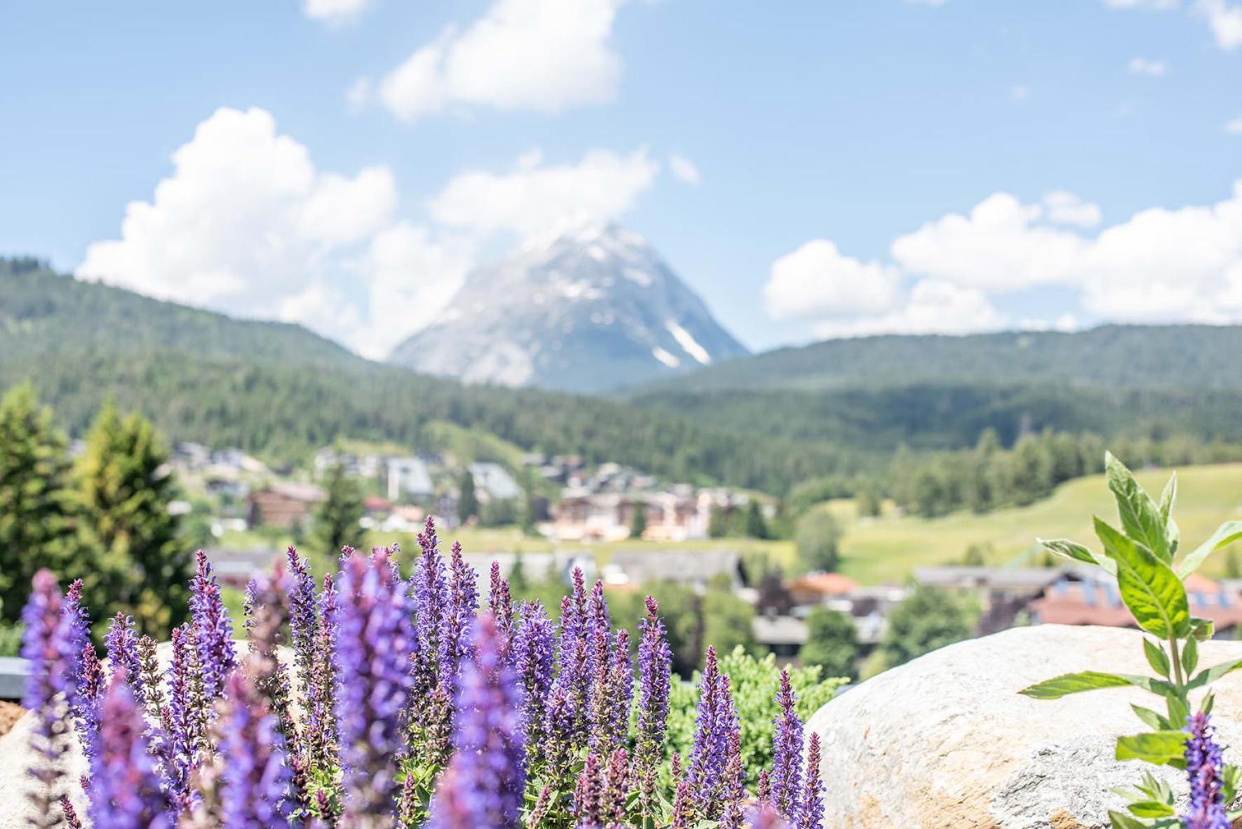 Gotthard - Fine Living Apartments Seefeld in Tirol Buitenkant foto